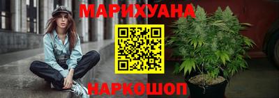 гашик Кандалакша