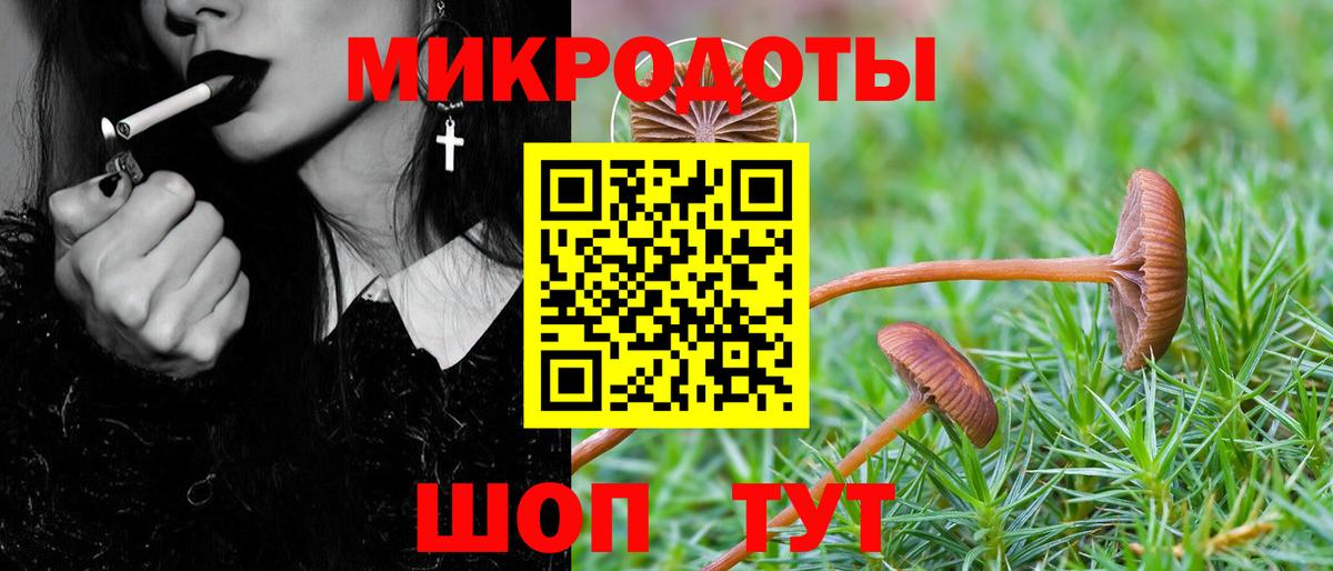 Галлюциногенные грибы ЛСД Кушва